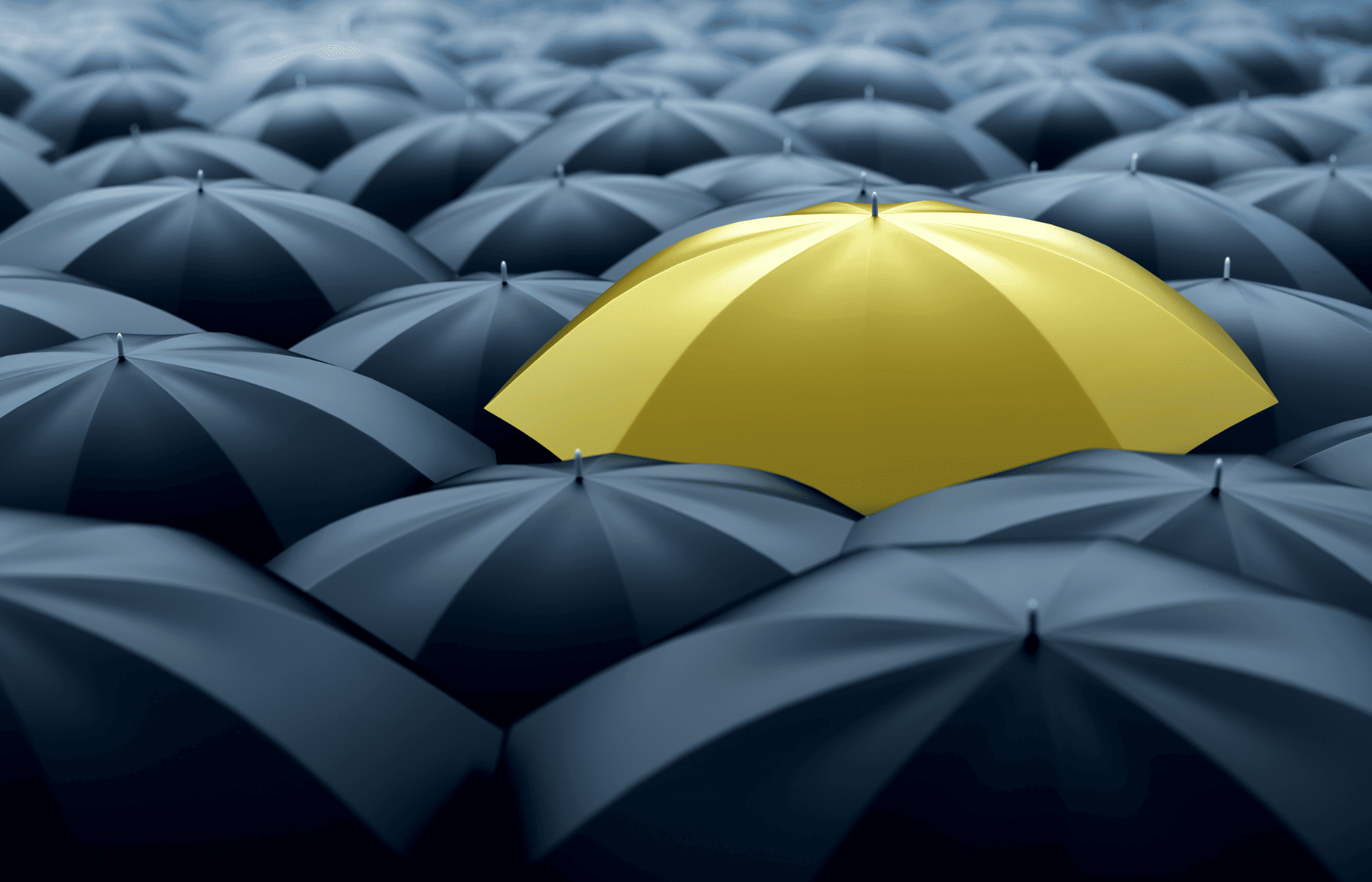 【カナダで賃貸探し】日本とは違うルールや探し方を徹底解説