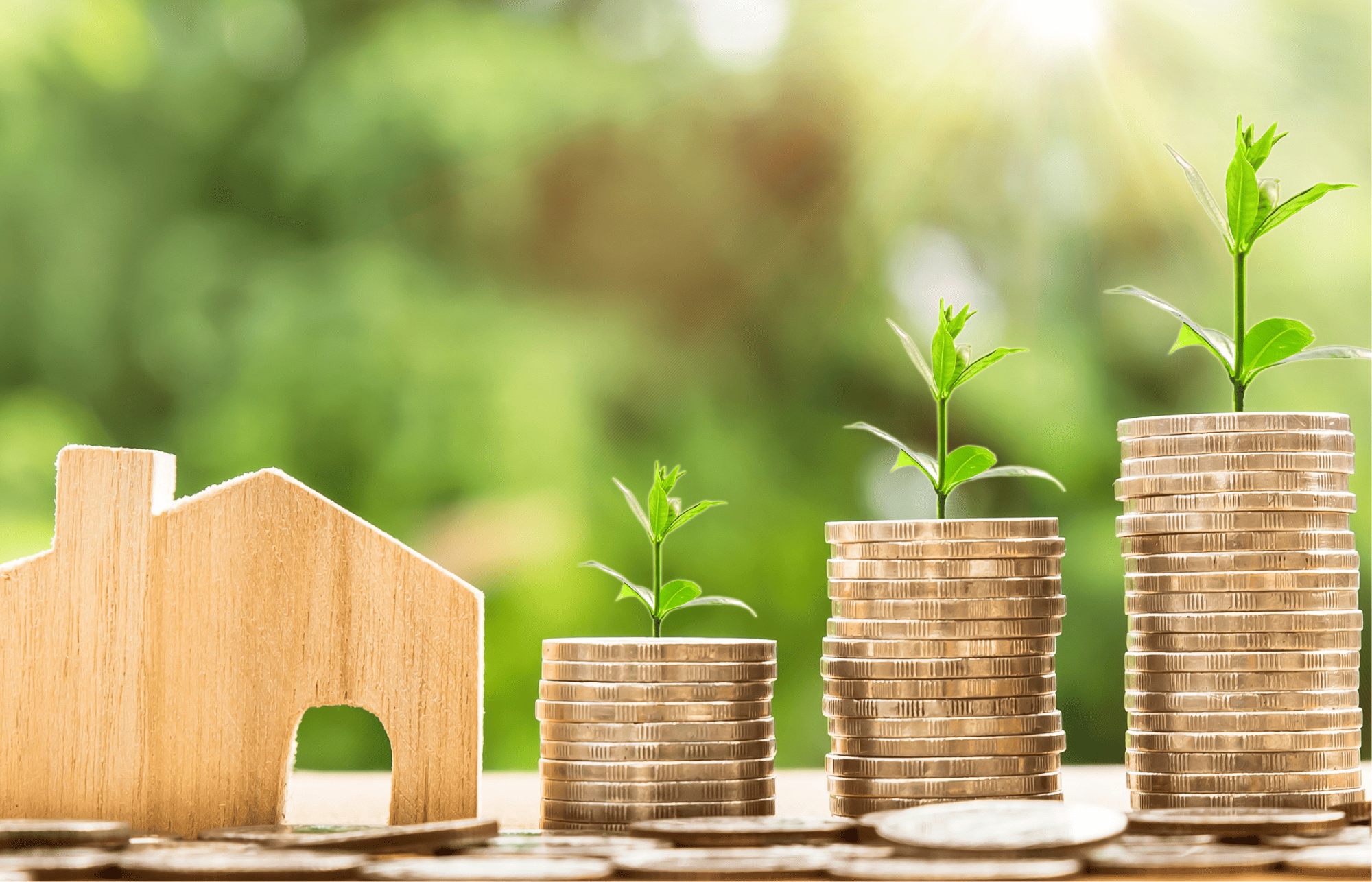 【カナダのシェアハウス】住むのにいくらかかる？｜相場・節約方法・注意点